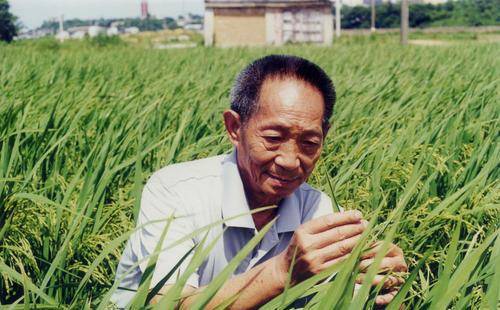 她是鼓浪屿第一美人,56岁因不堪压力投江自尽,让钟南山心痛半生