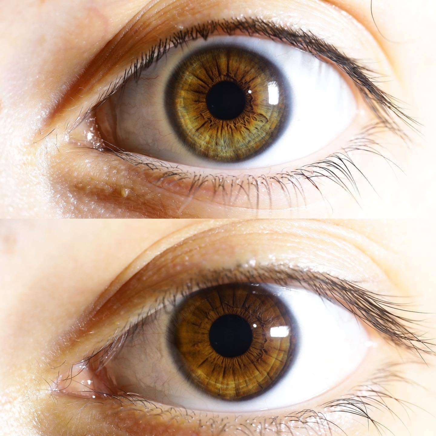 虹膜写真缘何数月内迅速走红?探秘背后成因