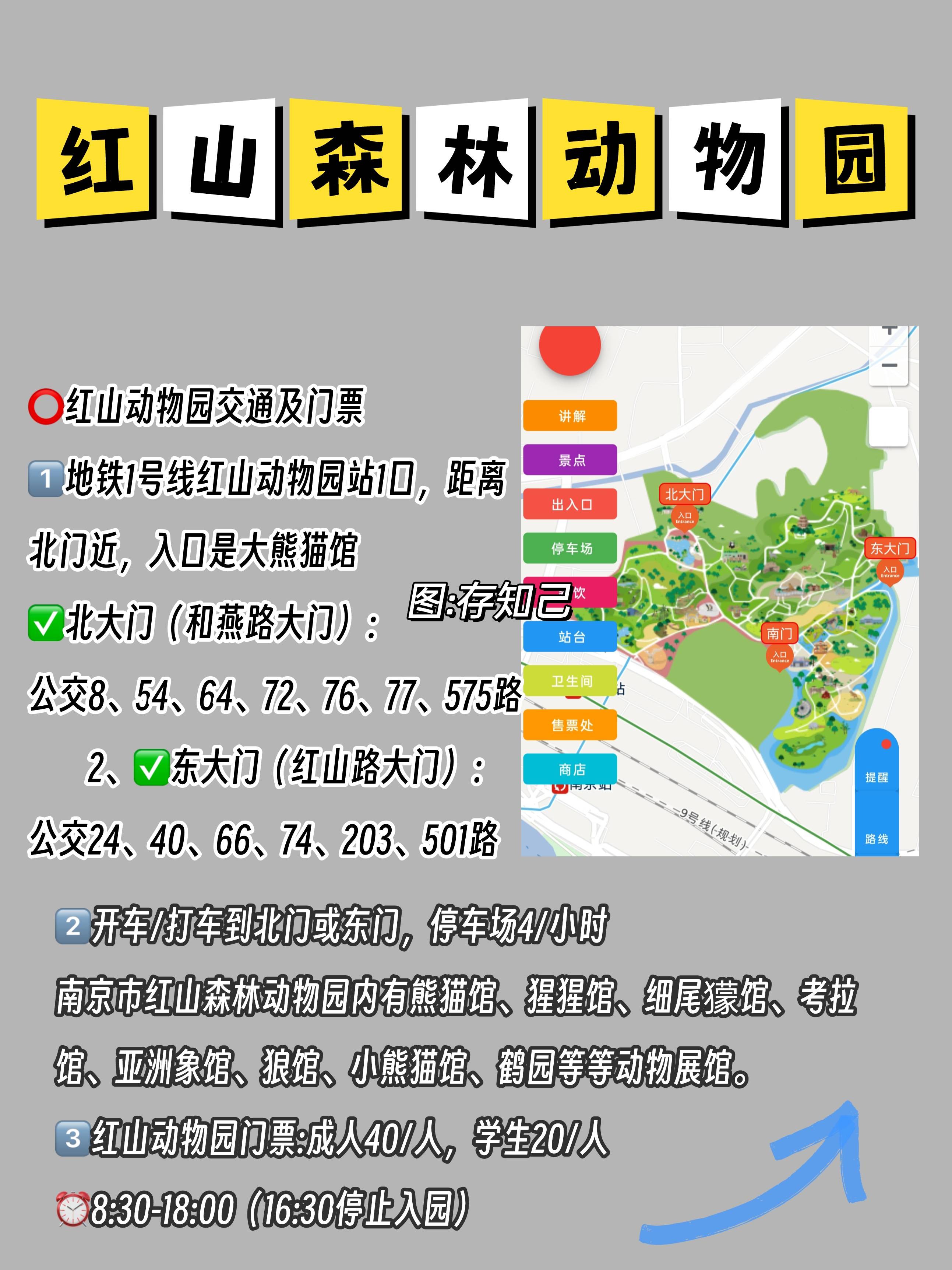 红山动物园行李寄存的地方及费用,红山森林动物园门票交通存包攻略