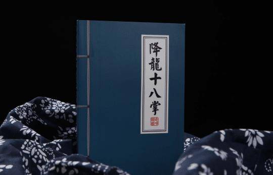 降龙十八掌这2人也学会了,一个被一笔带过,一个学一招就成大侠