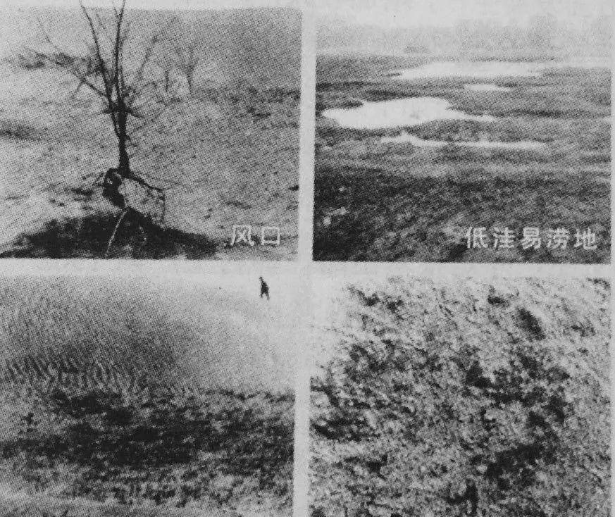 1962年焦裕禄去兰考任职,作为县委书记,他为了老百姓竟出去讨饭