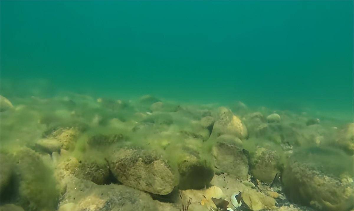 的东西在水下发现,泰坦尼克号一把小提琴卖170万英镑_病毒_海底_沉船