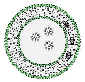 crgd-peg-dmg peg-crgd 环肽crgd-聚乙二醇-1,2-二肉豆蔻酰-rac-甘油