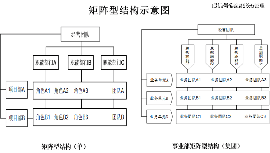 矩阵组织结构图怎么画图片