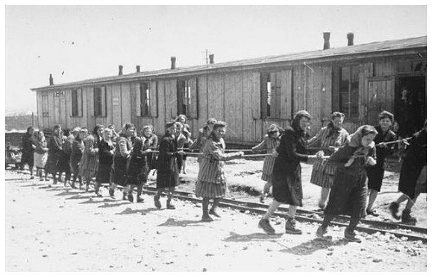 各种手段屠杀平民几千万,以犹太人为最_纳粹_希特勒_集中营