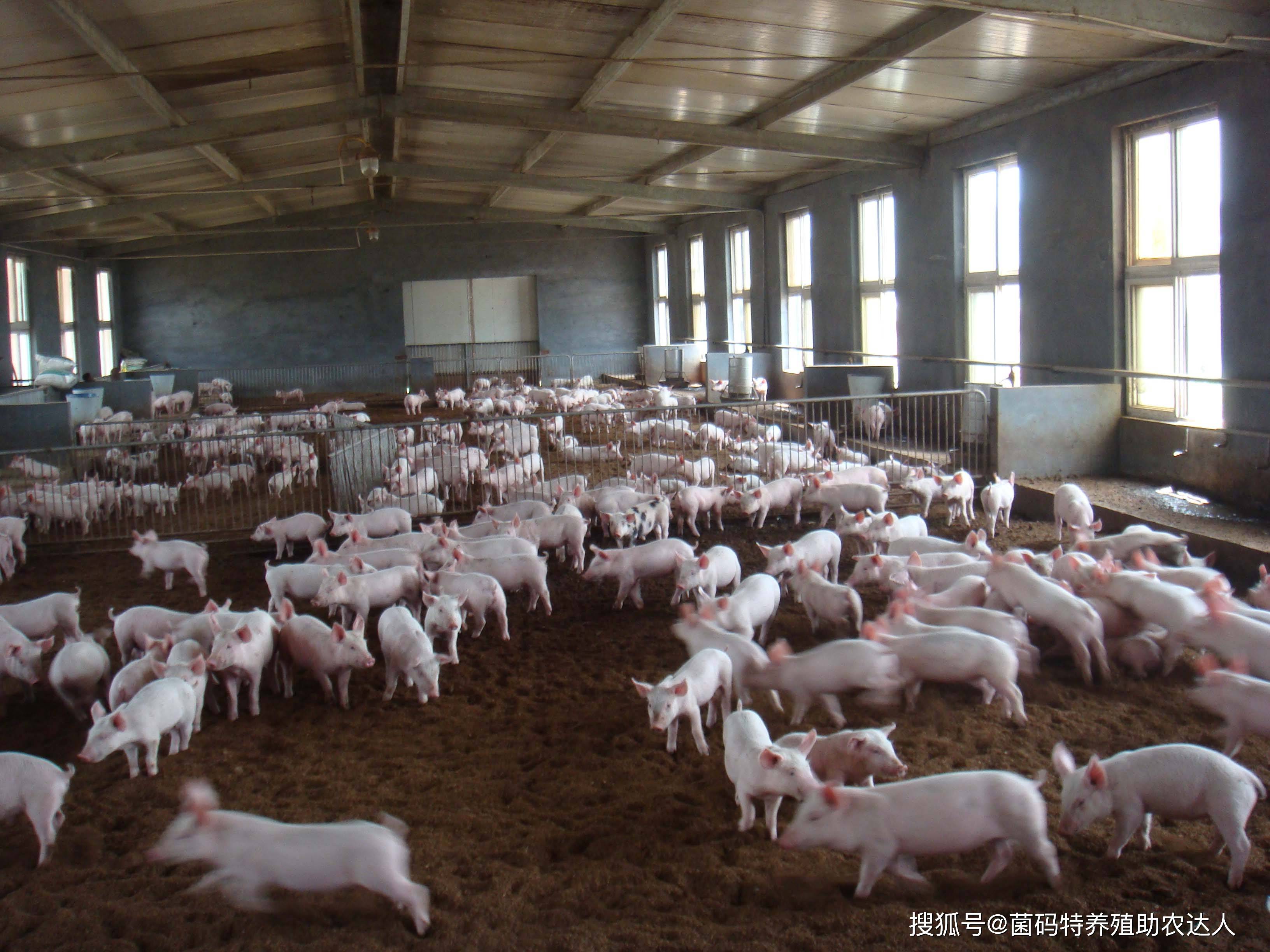 回本最快的养殖业(回本最快的养殖业加盟)