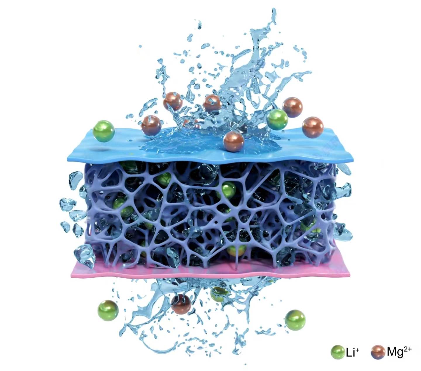 folate/fa-alginate 叶酸标记海藻酸钠 alginate-fa/folate 氧化