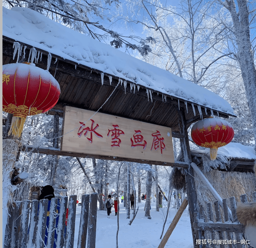 冰雪画廊门票图片