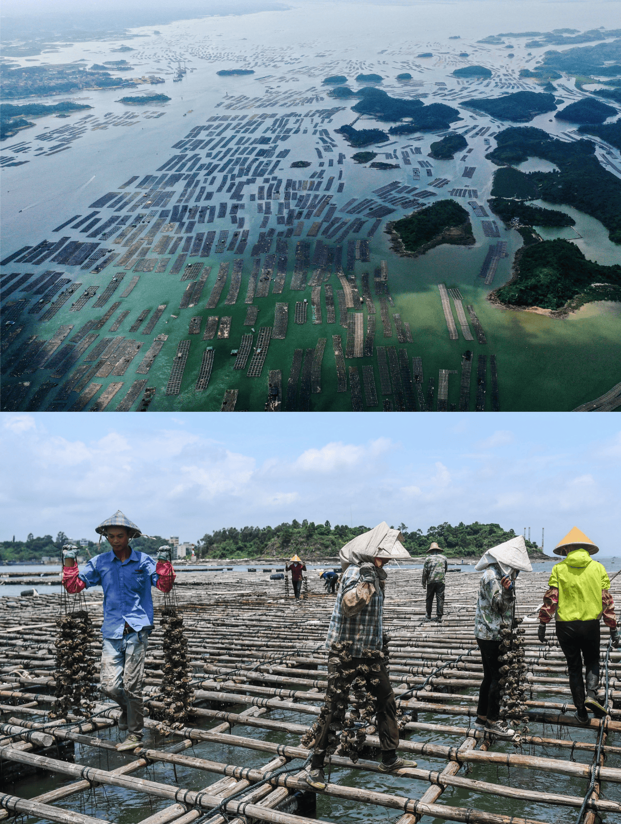 你的hao来了!钦州蚝情节即!将!开!幕!