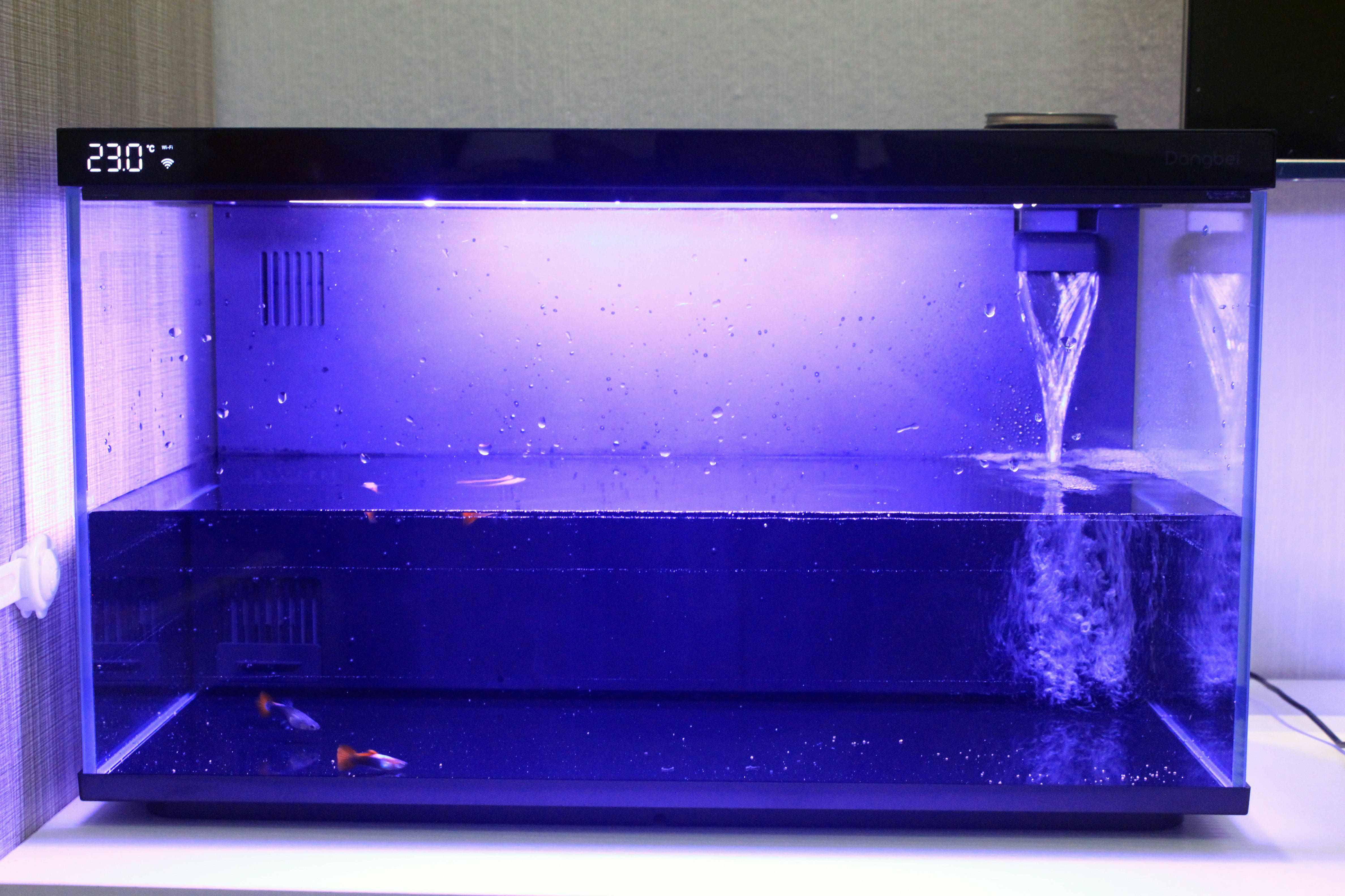 当贝智能鱼缸1 Ultra:生态科学喂养,懒人养鱼的福音