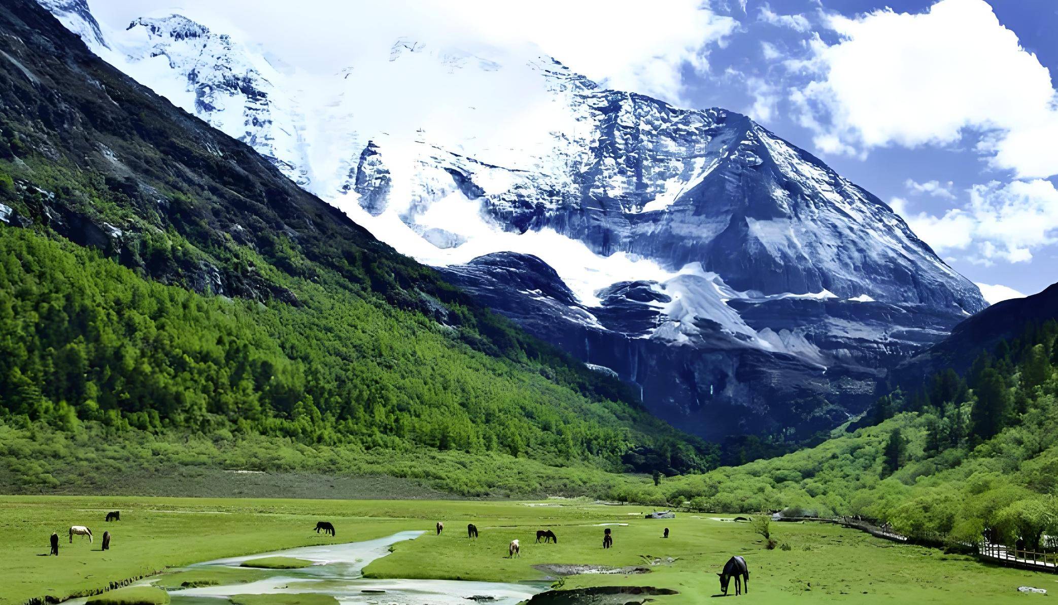 在雪山脚下,延展着辽阔的草原