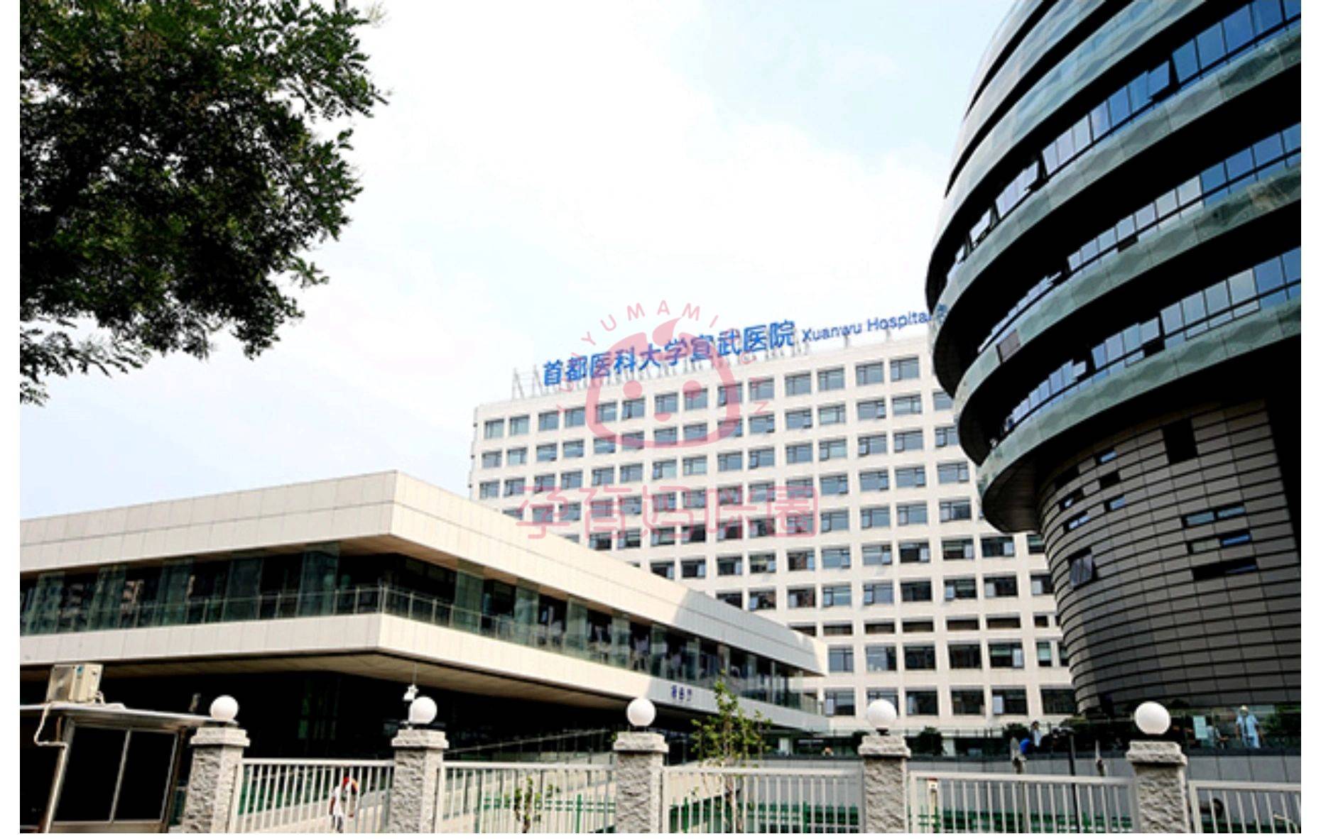 包含宣武医院门诊陪诊挂号服务-覆盖北京全三甲的词条