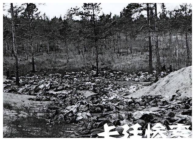 1991年,苏联公开绝密档案,曝光斯大林欺骗世人50年的真相