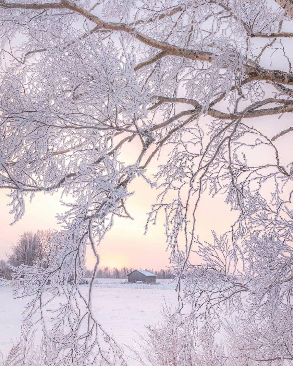 赞雪景拍得漂亮图片