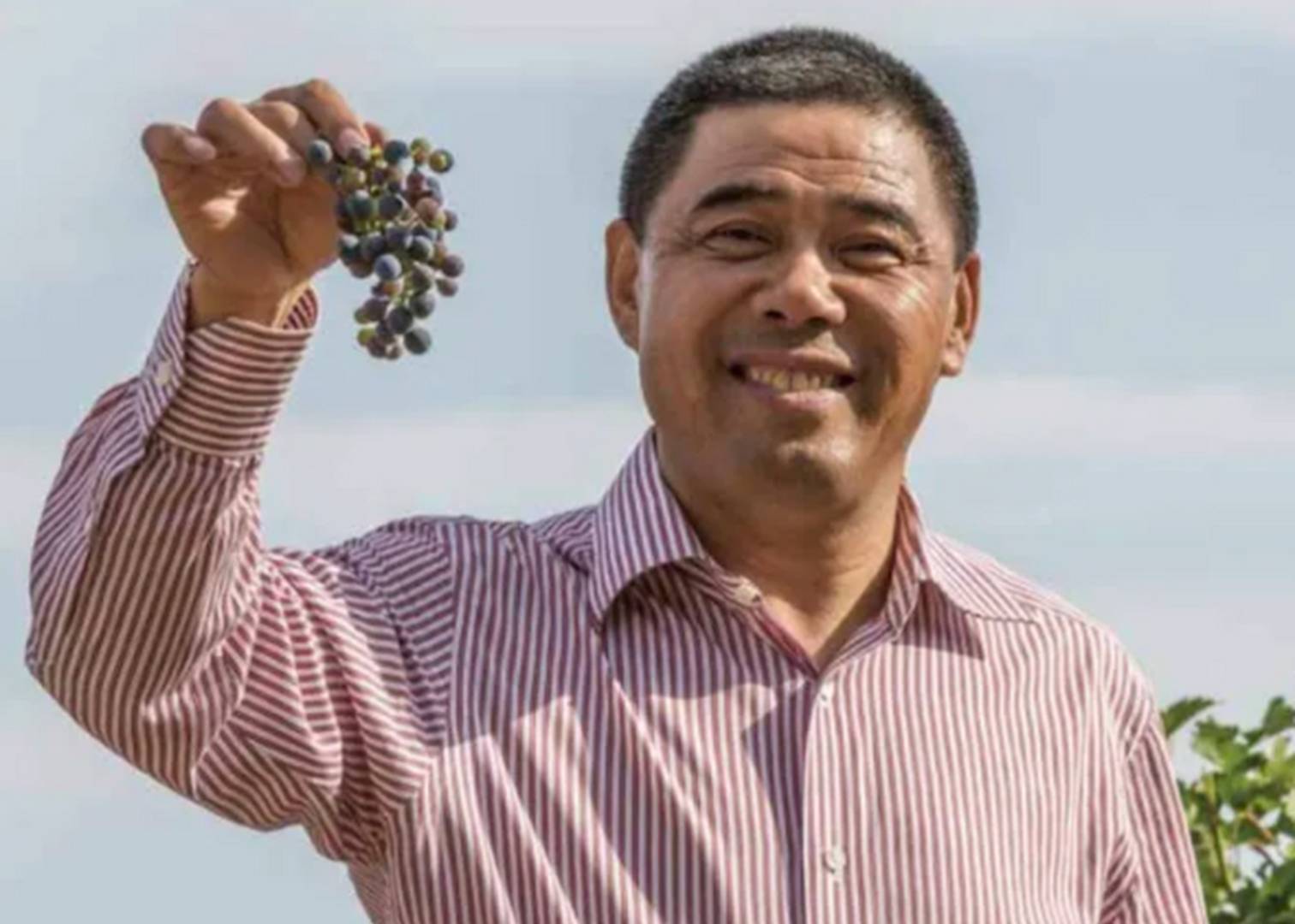 富商2亿买下10万亩荒漠,妻子气得提离婚,谁知5年后2亿变200亿