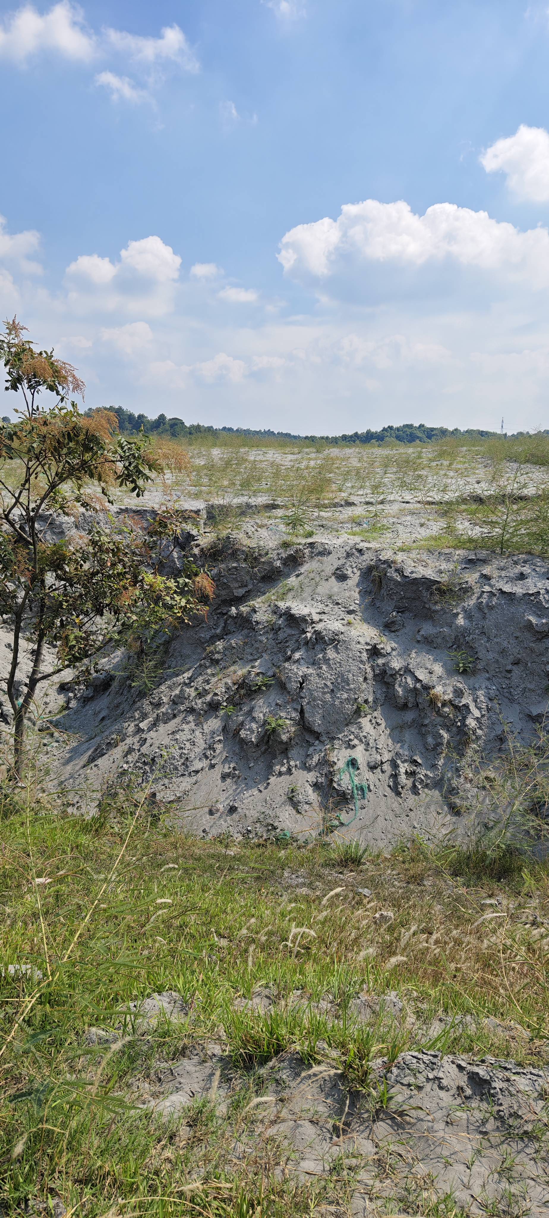 路基粉煤灰1500亩380万吨出售转让利用