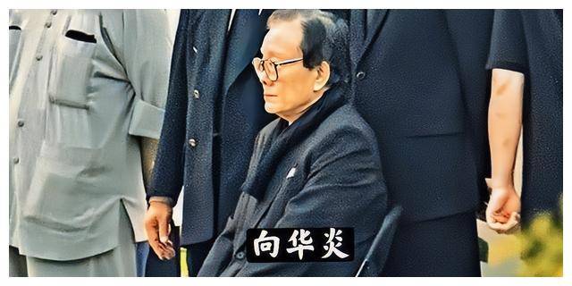 新义安"二代龙头"向华炎,群龙无首之时力挽狂澜,晚