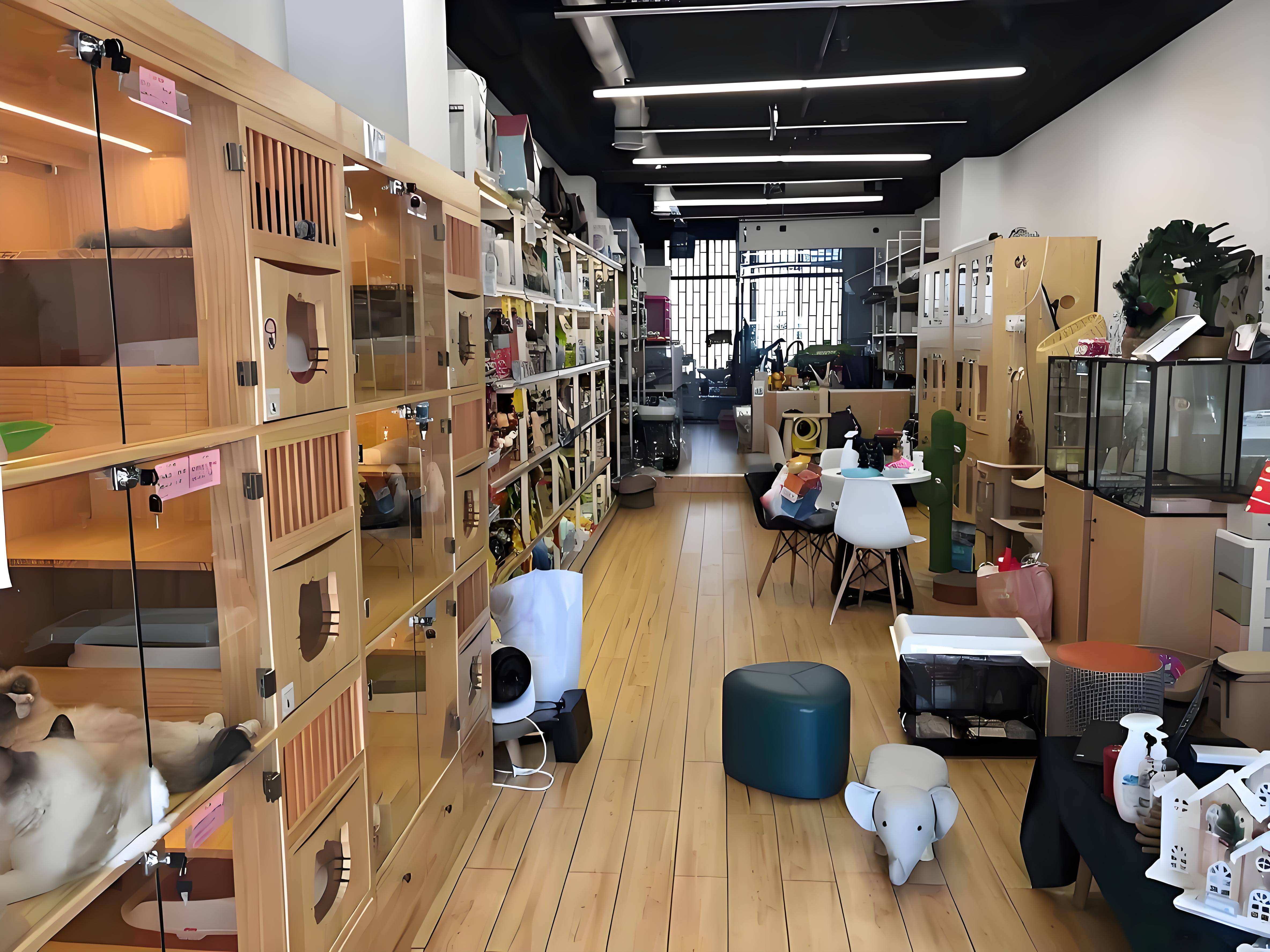 宠物店空气消毒:降低疾病传播风险,提高客户满意度!