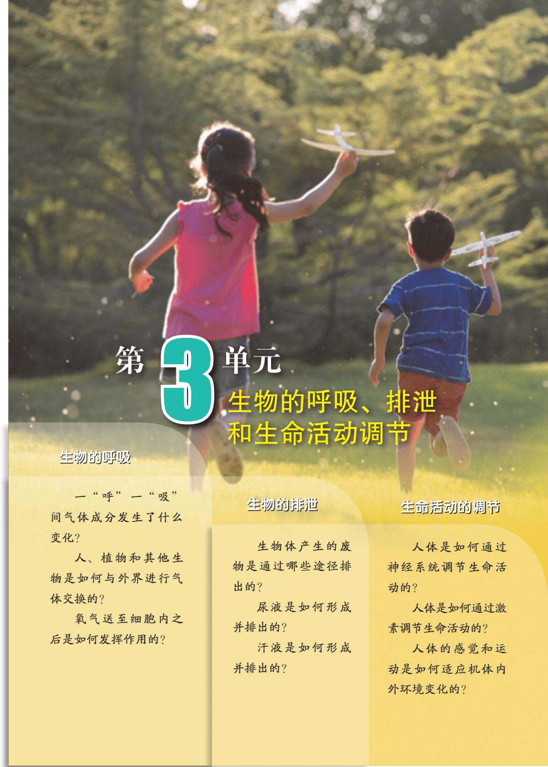 教材电子书（针灸治疗学教材电子书）