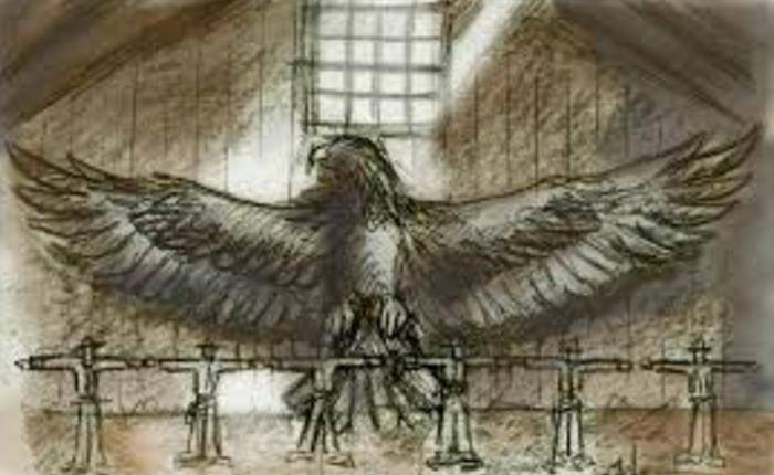 图片[11]-翼龙不是早已灭绝了吗？为何1864年美国人却抓到一只翼龙并拍下了照片？-华闻时空