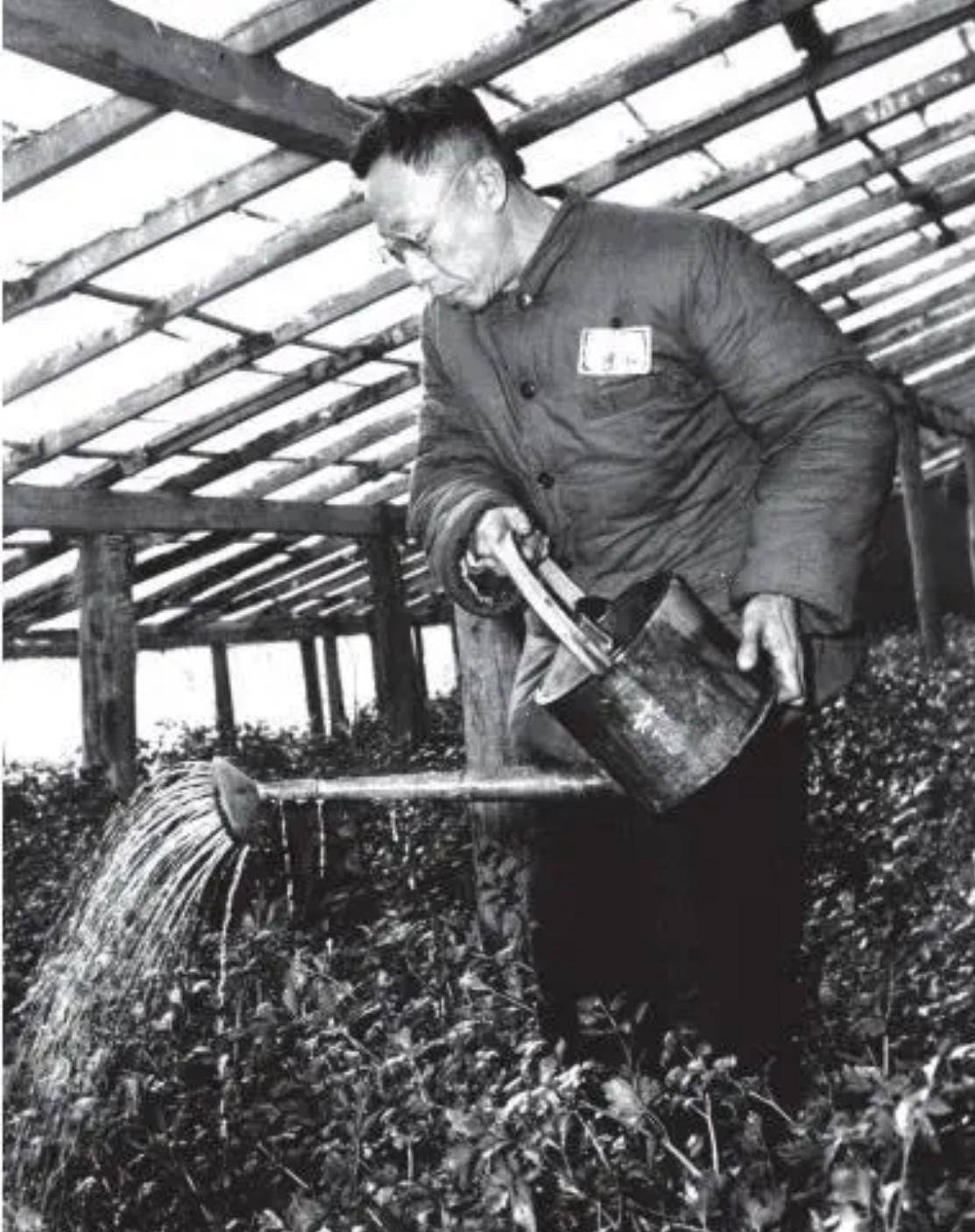 走进末代皇帝的监狱_战犯_抚顺_溥仪