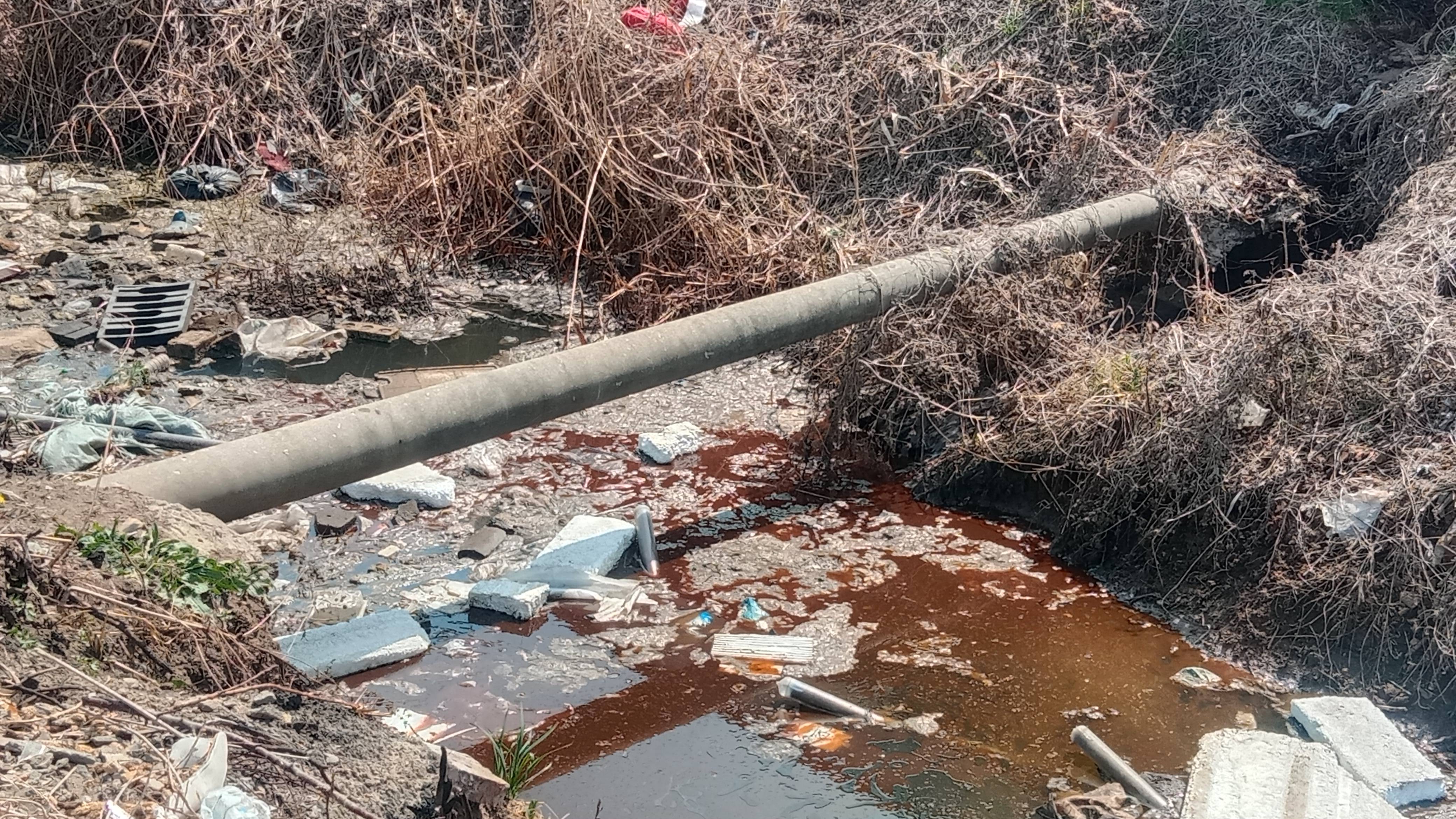 污染_生活_污水