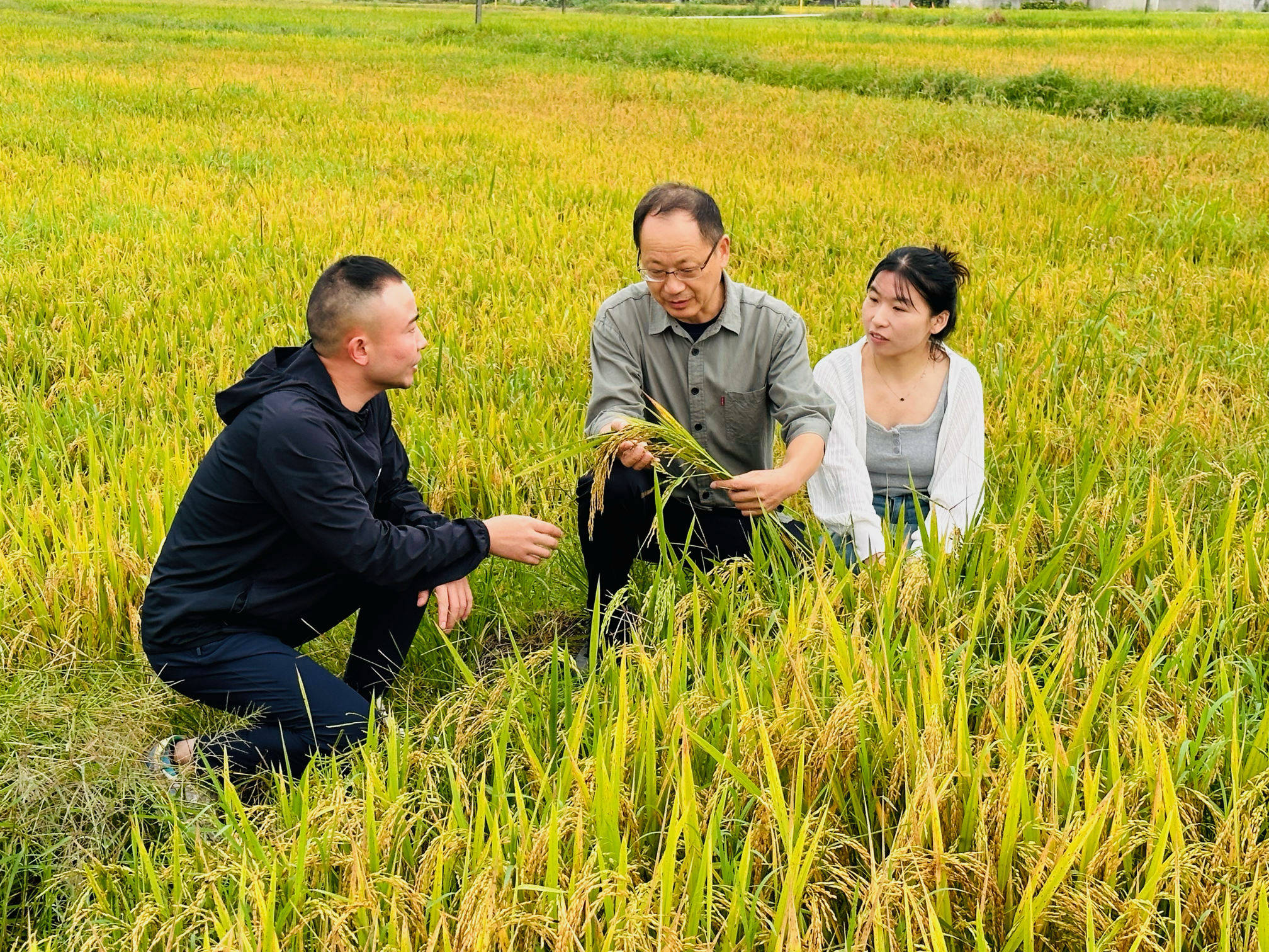 复兴村村干涂汪杰:退役未褪本色,扎根基层续写初心