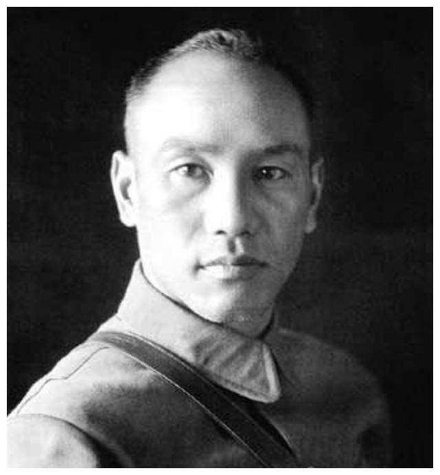 蒋介石下野是什么意思