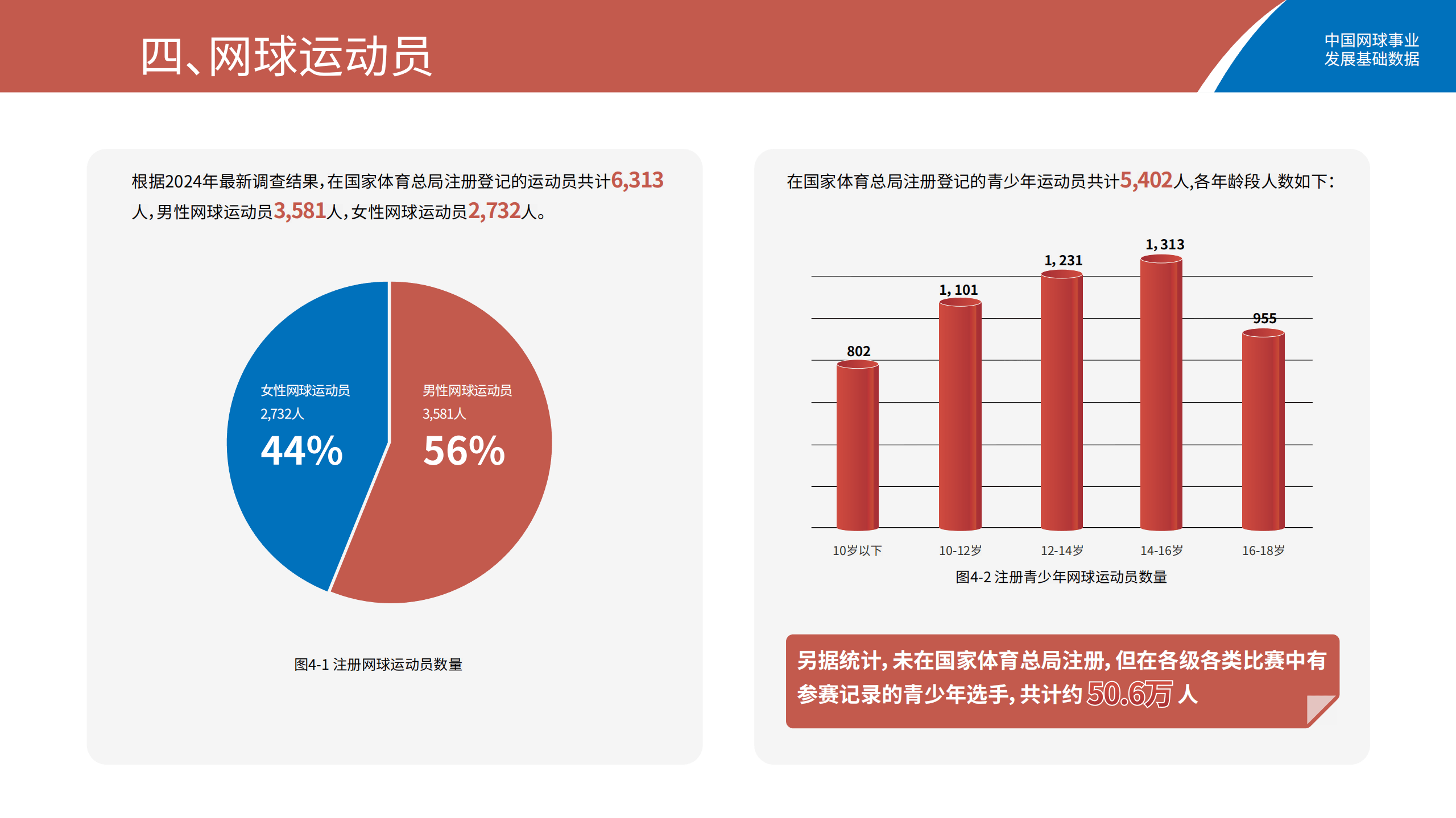 洞悉体育产业未来趋势：体育数据揭示背后秘密