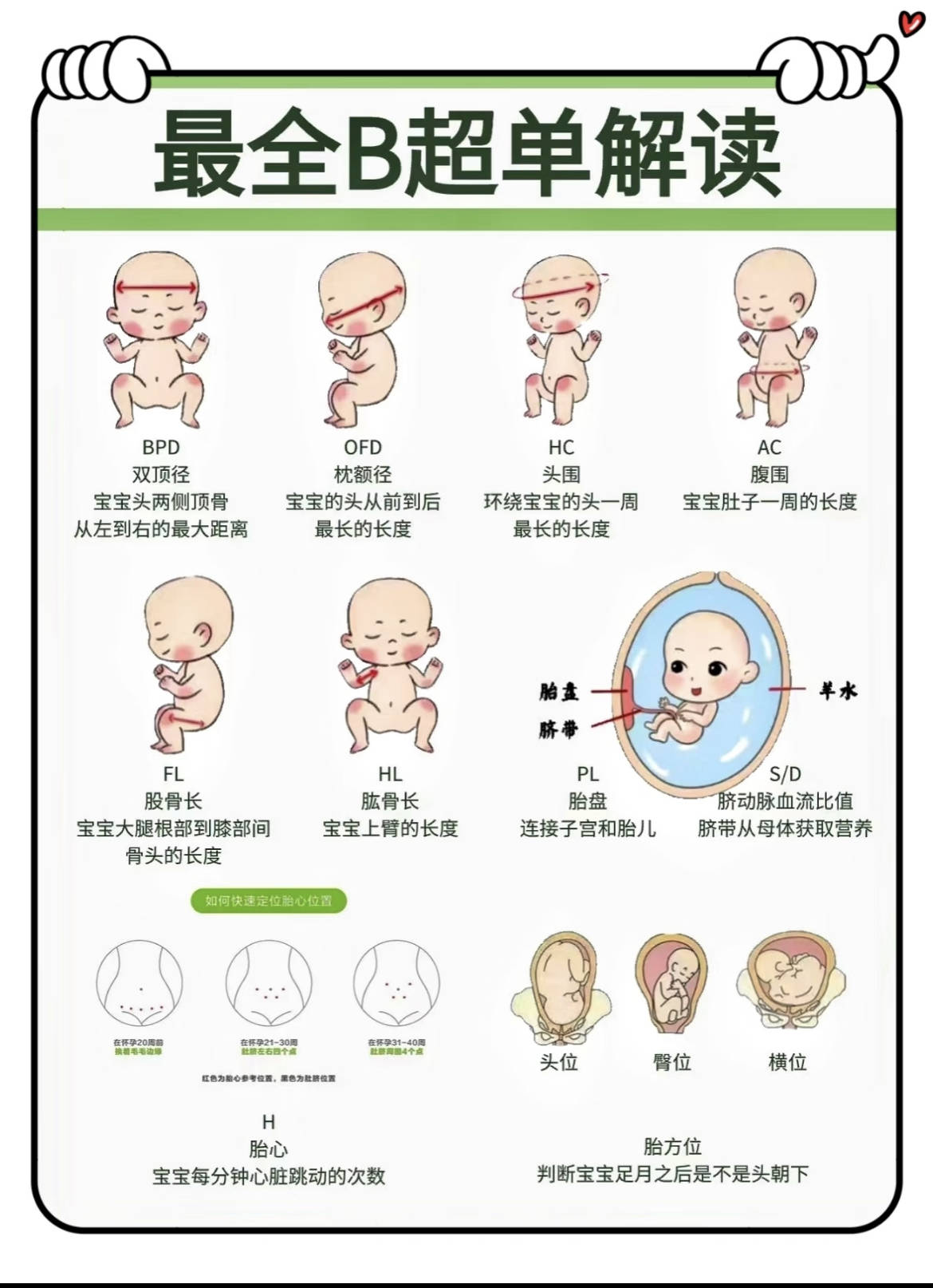 b超单像天书?3步教你看懂宝宝发育情况!