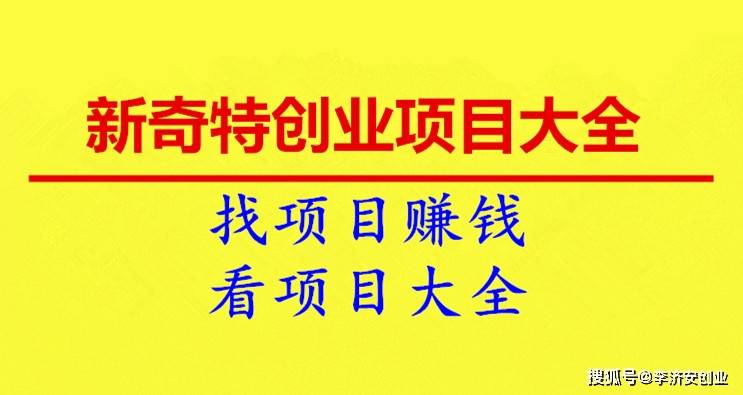 十万创业项目有哪些项目(十万创业项目有哪些项目呢)