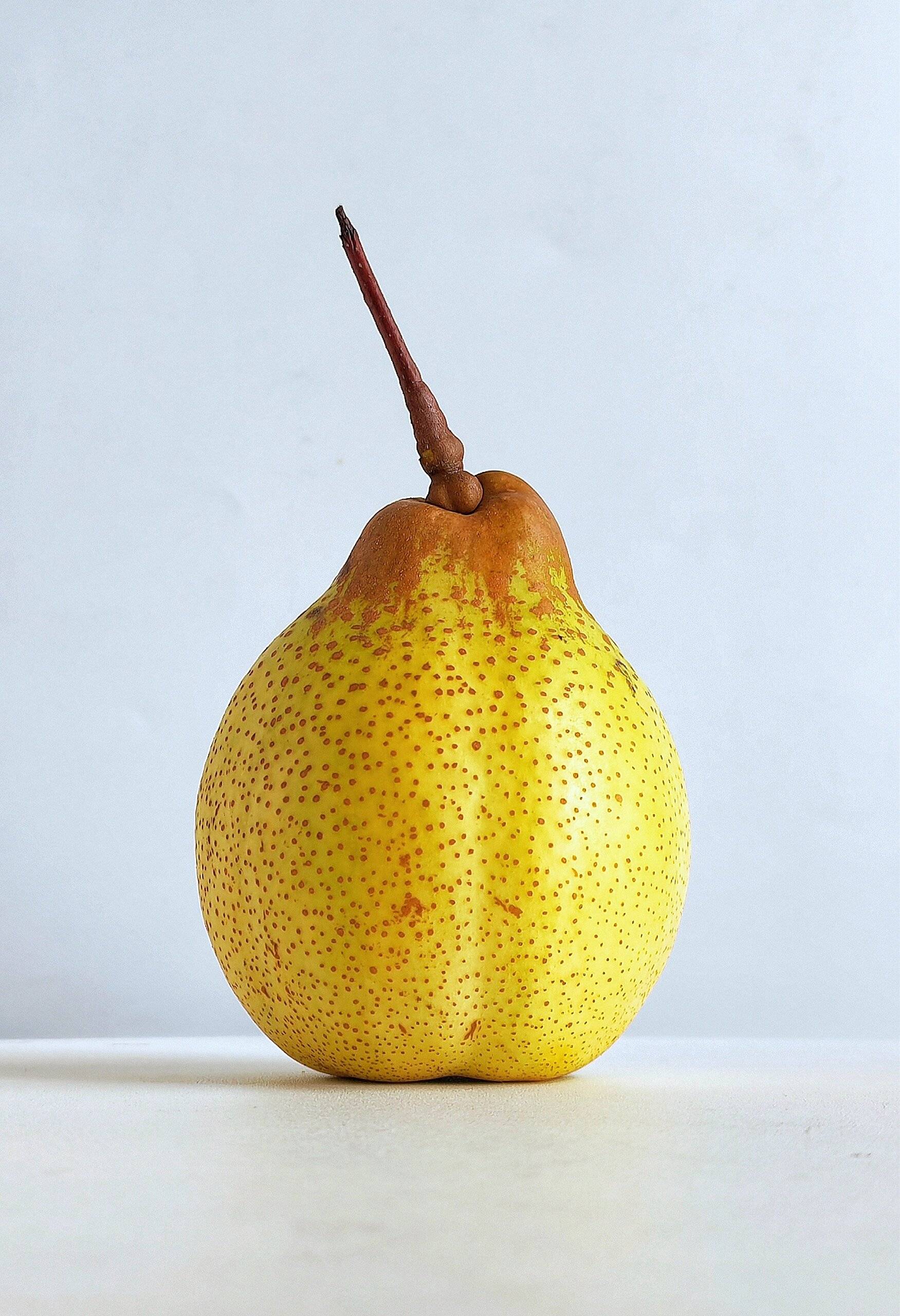 吕文扬与他的黄金鸭梨:一颗梨子背后的匠心与情怀