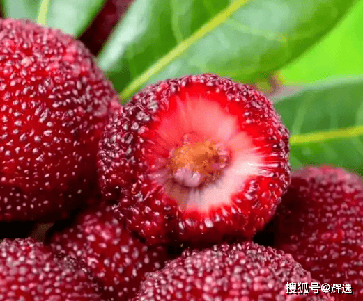 Baekberry，低卡路里的甜蜜诱惑