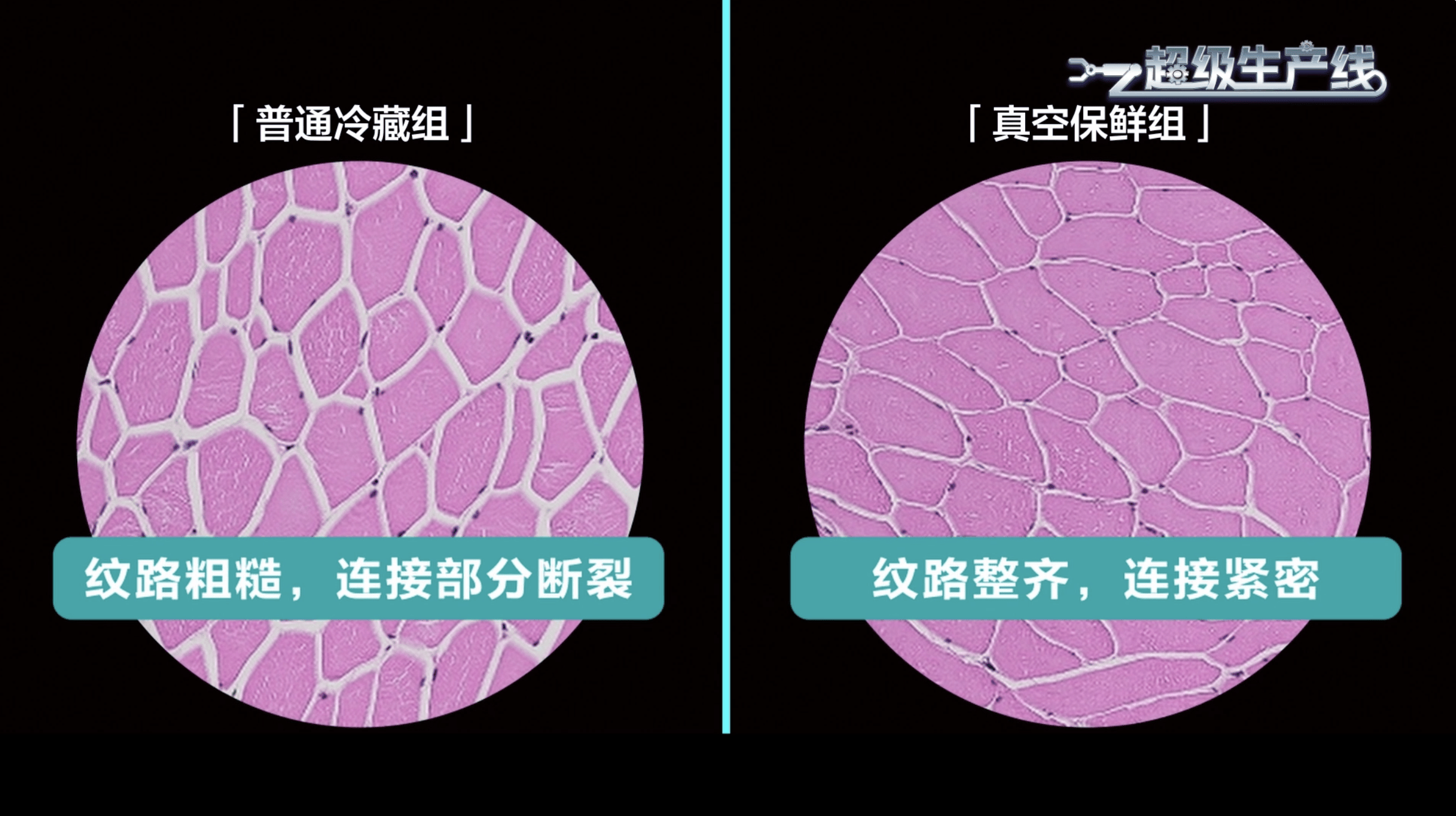 《跟着央视体验极致新鲜！海信冰箱带来“巴适”观赛与鲜食新享受》
