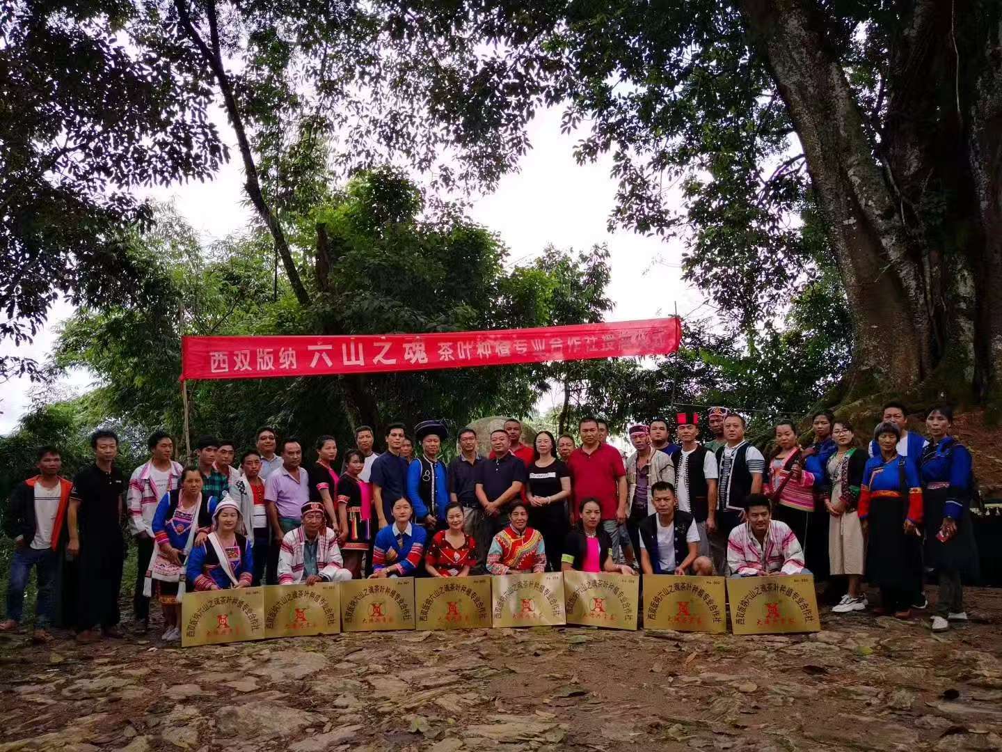 文章配图-1