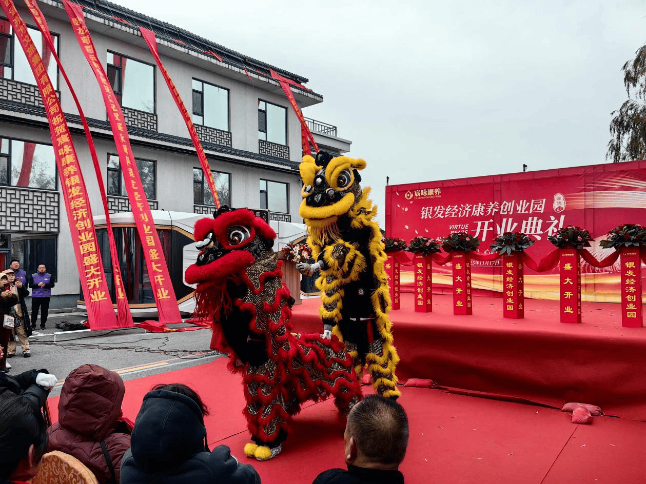 宸咏康养银发经济康养创业园开业庆典在山西高平隆重举行