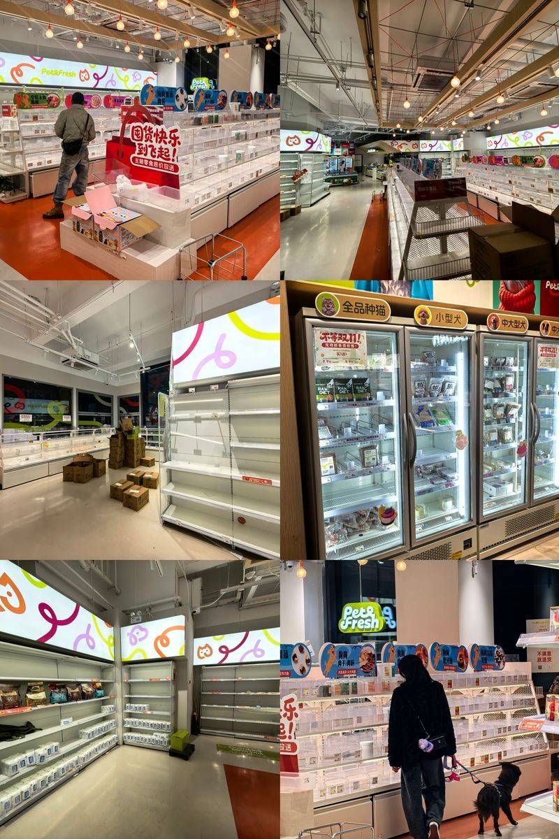 押宝宠物经济，光明现在下场还来得及吗？-锋巢网