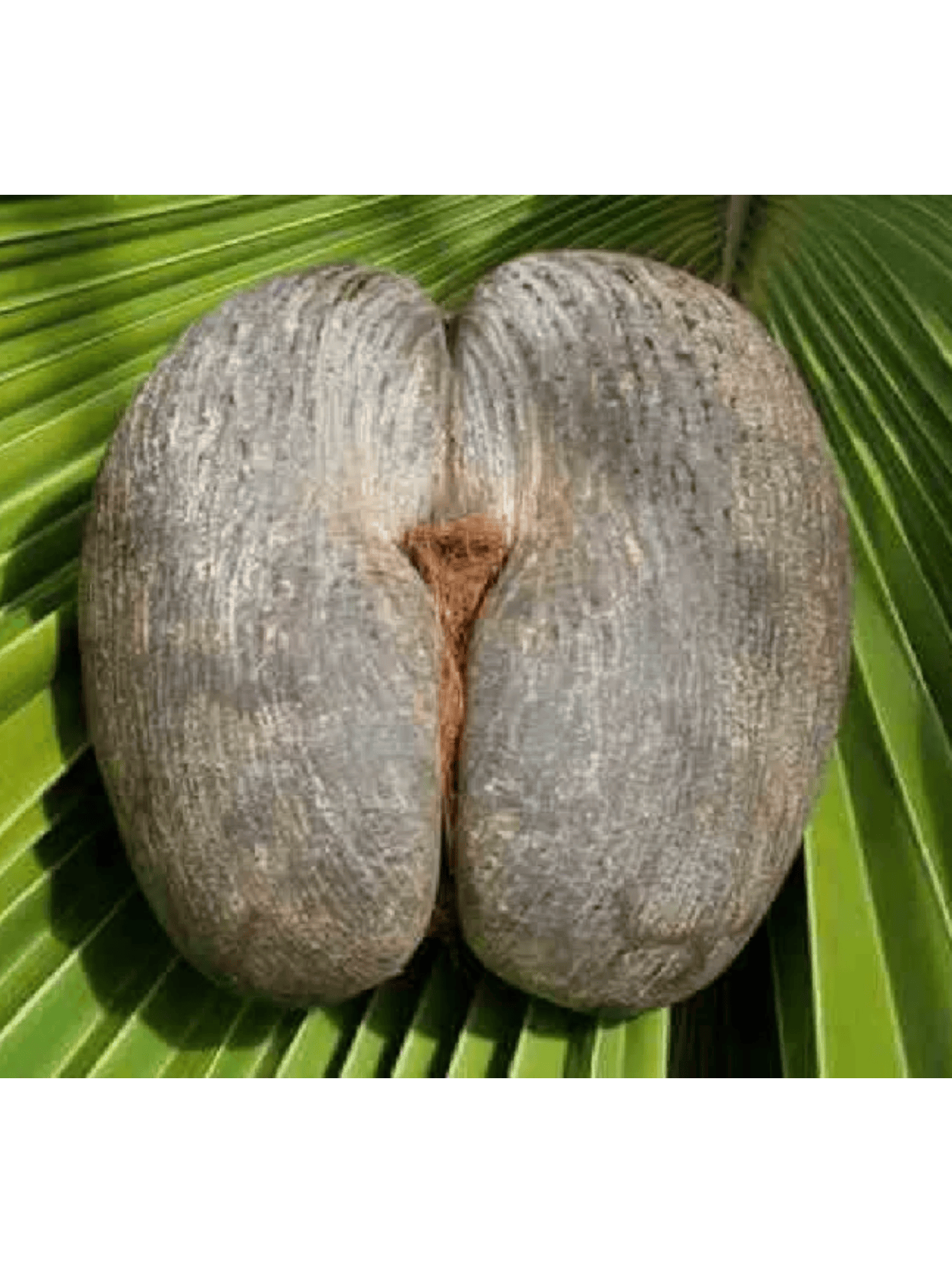 他是成功的电子科技企业创始人,却要转身投向一个生长周期以十年计,前