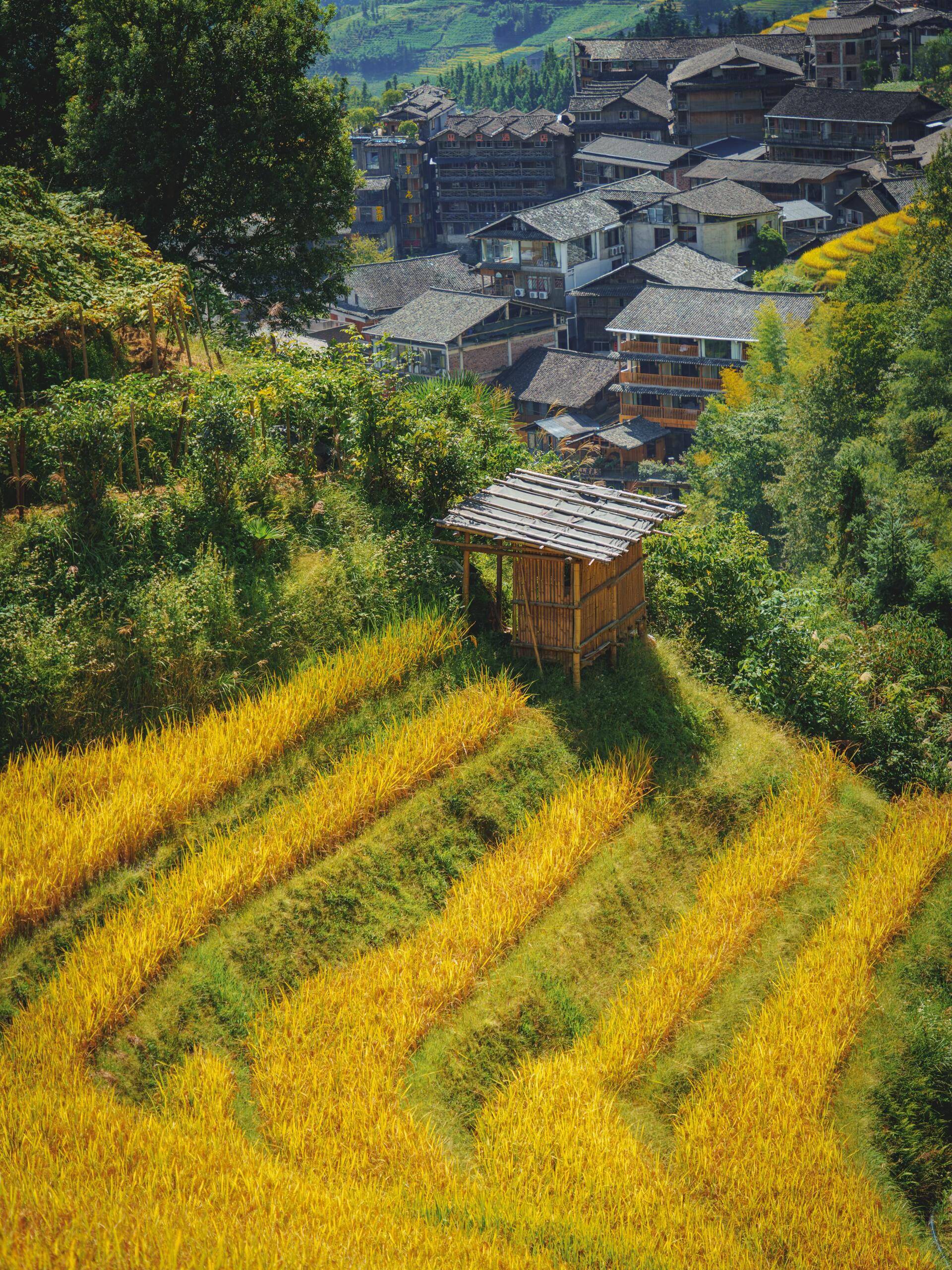 一家人去桂林旅游5天4晚纯玩团,桂林五天四夜游多少钱跟团,详细看这篇攻略就够了_搜狐网