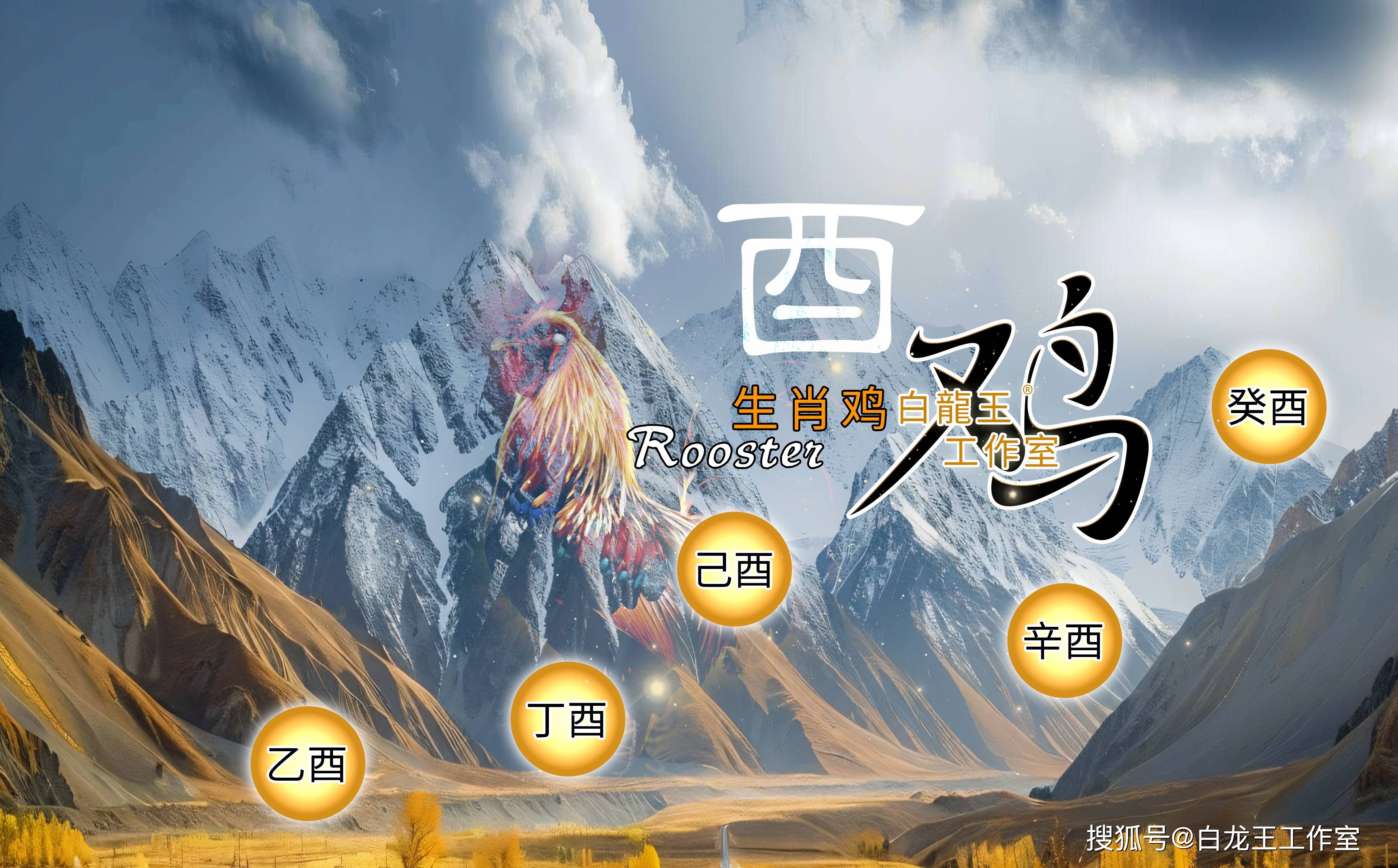 周公解梦生肖鸡运势(生肖鸡运势2020年运程每月运程)