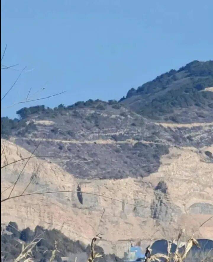 长治壶关县晋庄镇非法盗采严重破坏生态 谁应为生态之殇负责?(图1)