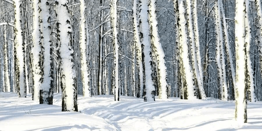 68034494ab204b33b29e838fa8ddd2e2