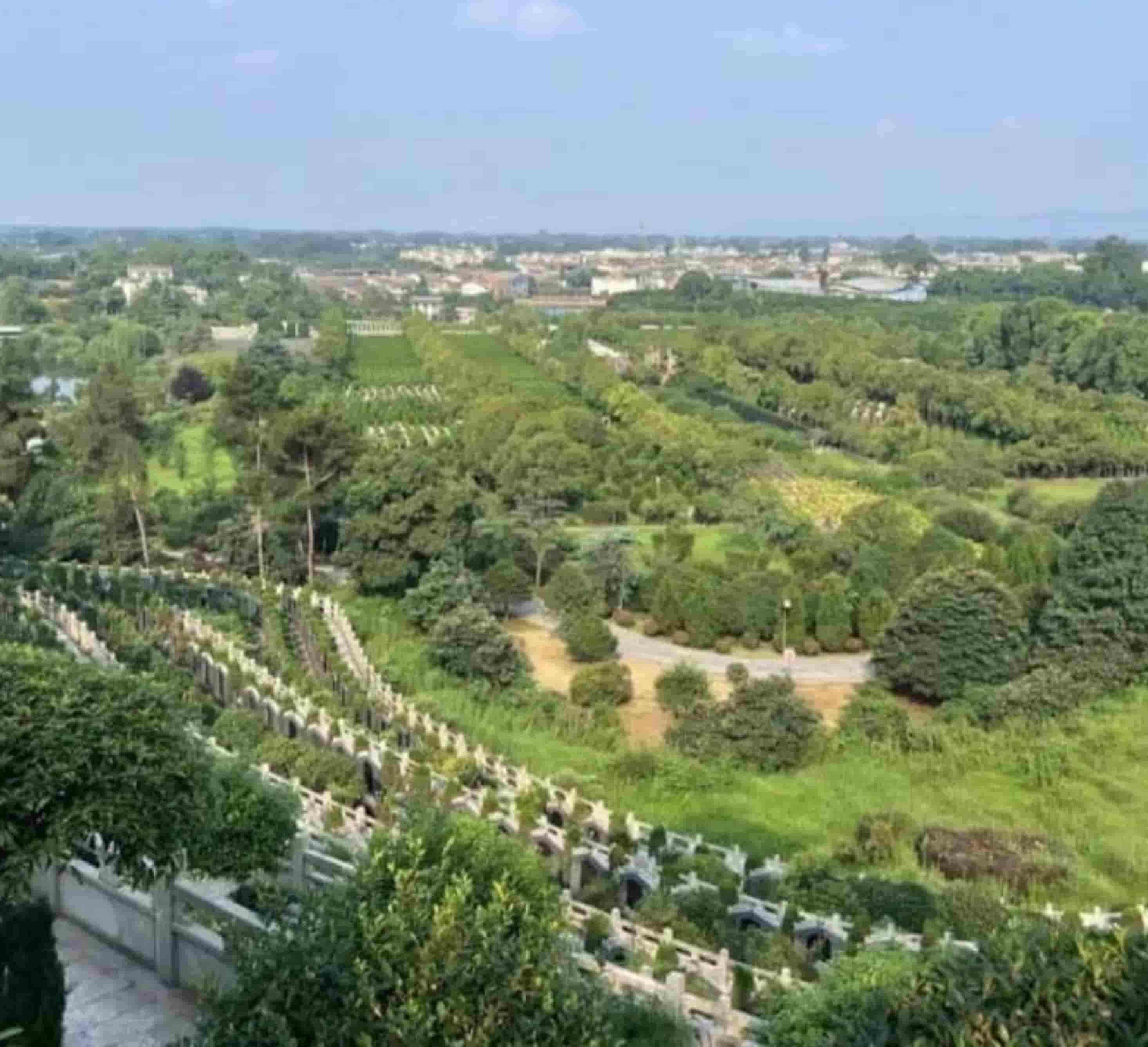 红枫艺术陵园墓地价格最新详解，全面指南