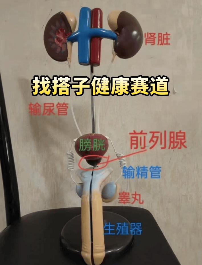 30+男性健康危机突显，预防治疗之争重重，早防早受益！