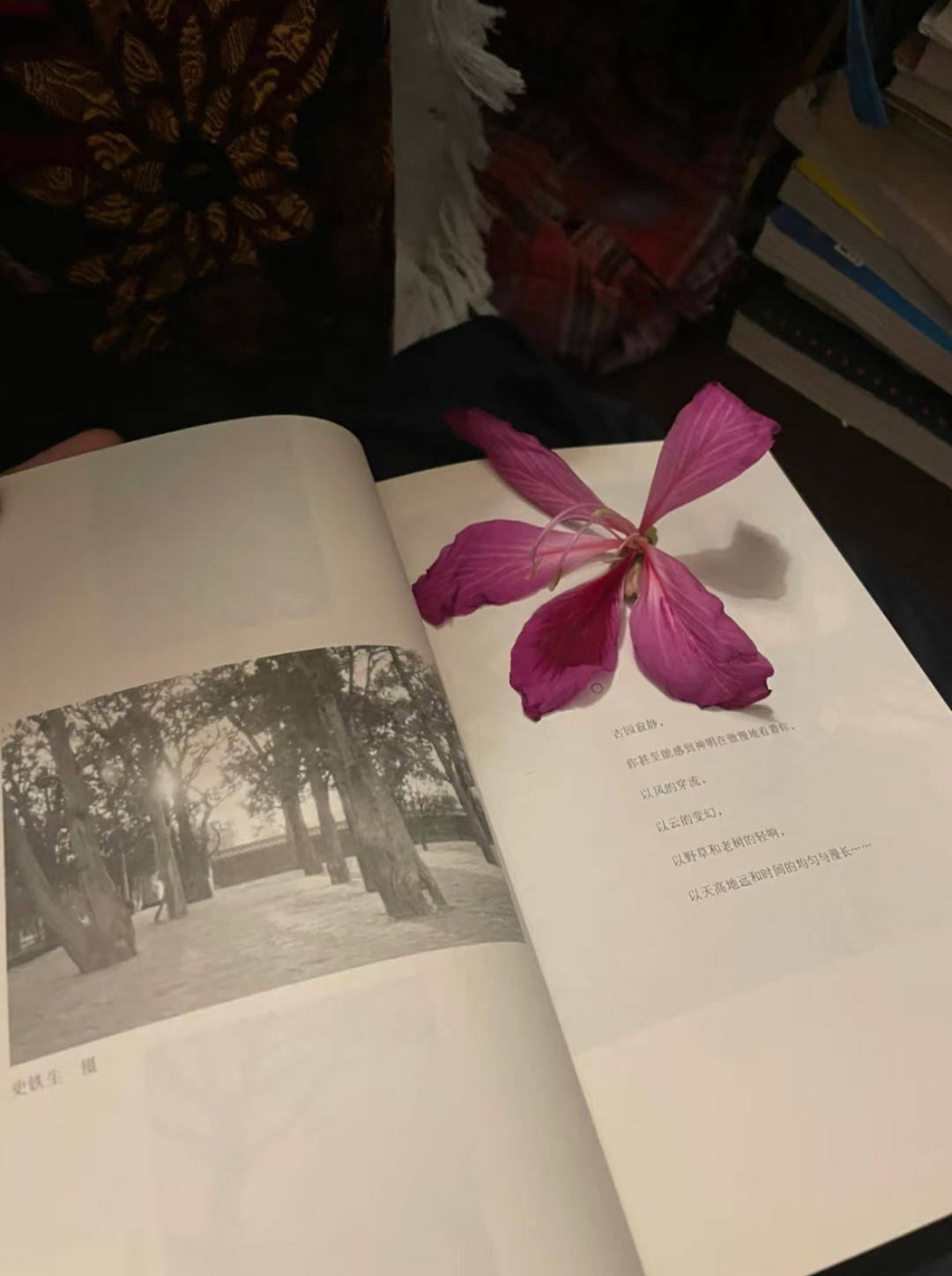 吕文扬：在画布上雕刻灵魂的绘画大师