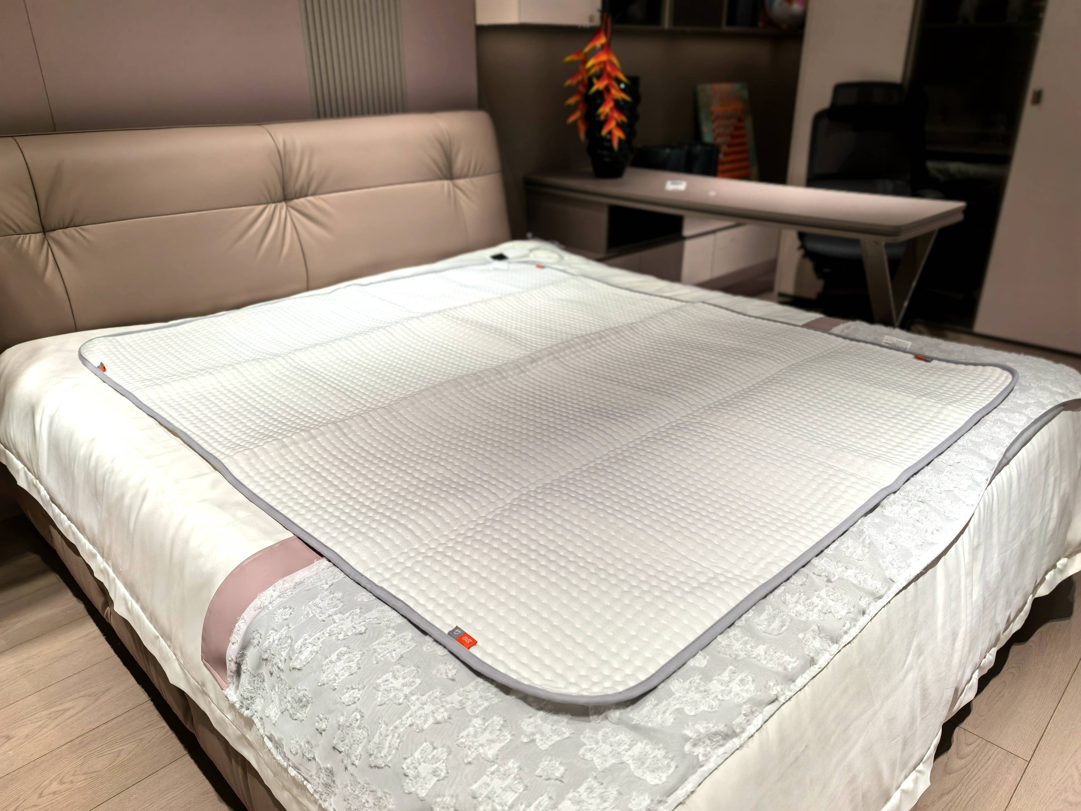 米家智能电热毯，暖被窝的平替品，这个冬天有它不再寒冷！