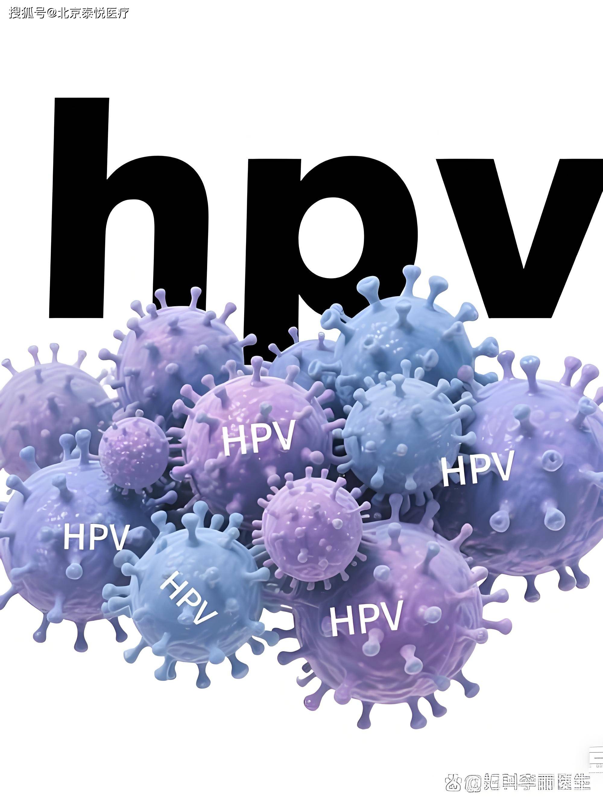 hpv 远离认知误区