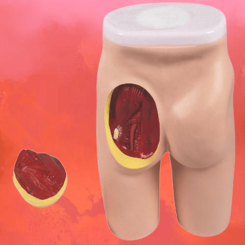 7fff80a-removebg-preview (1).png