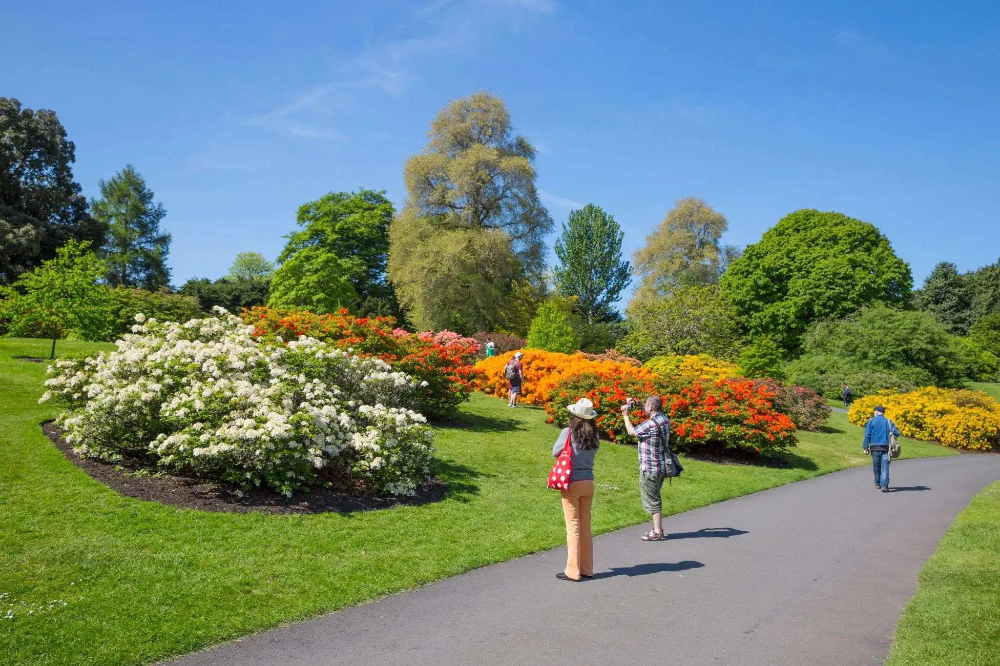 The Royal Botanic Garden.jpg