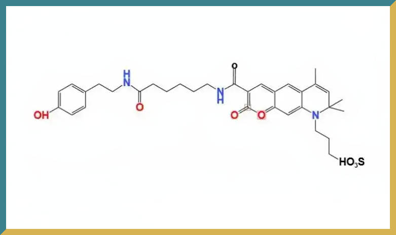 新研博美DY430-X tyramide.jpg